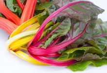 Photo of How to cook chard? Types of cooking and recipes