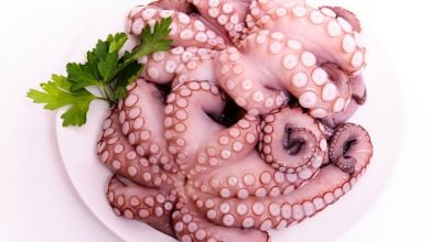 Photo of How to cook octopus? Pre-cleaning and correct cooking