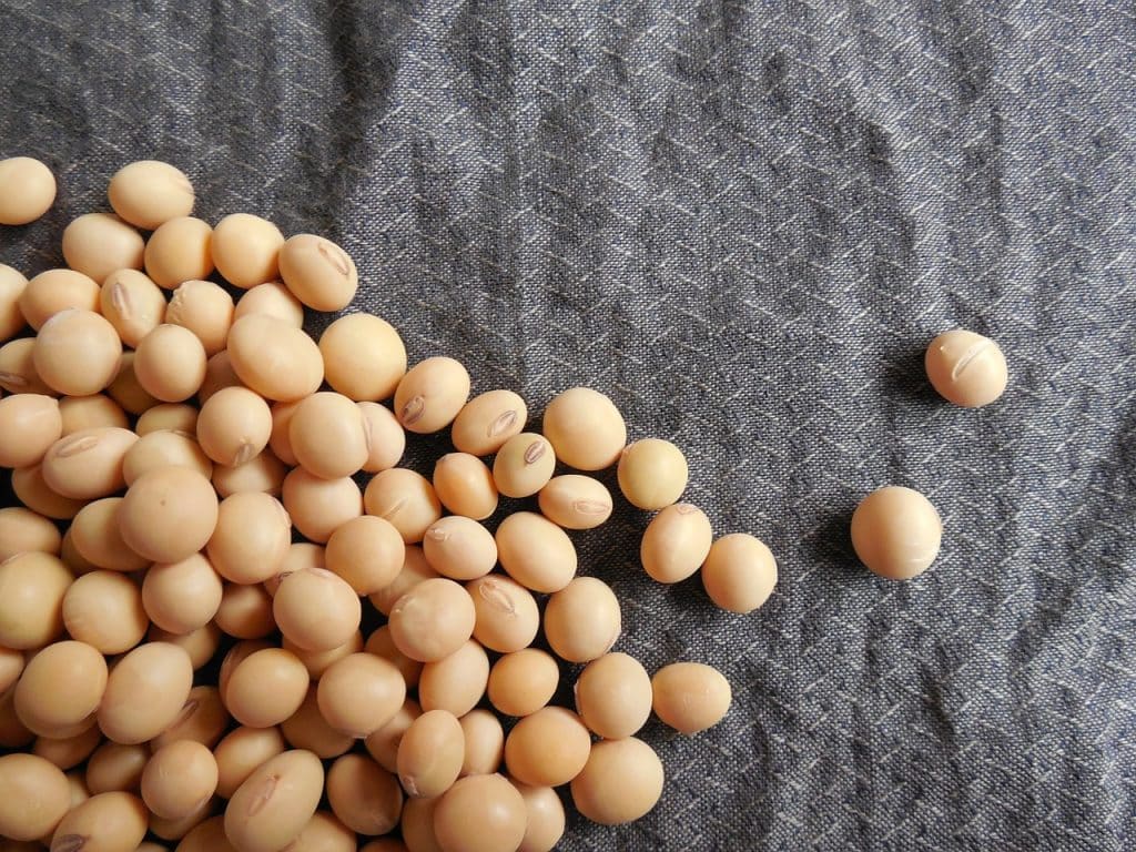 Soybeans How To Cook at Alex Yates blog